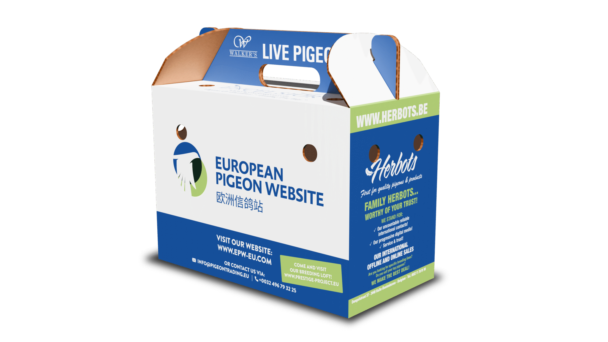 Pigeon_Box_Back_Done