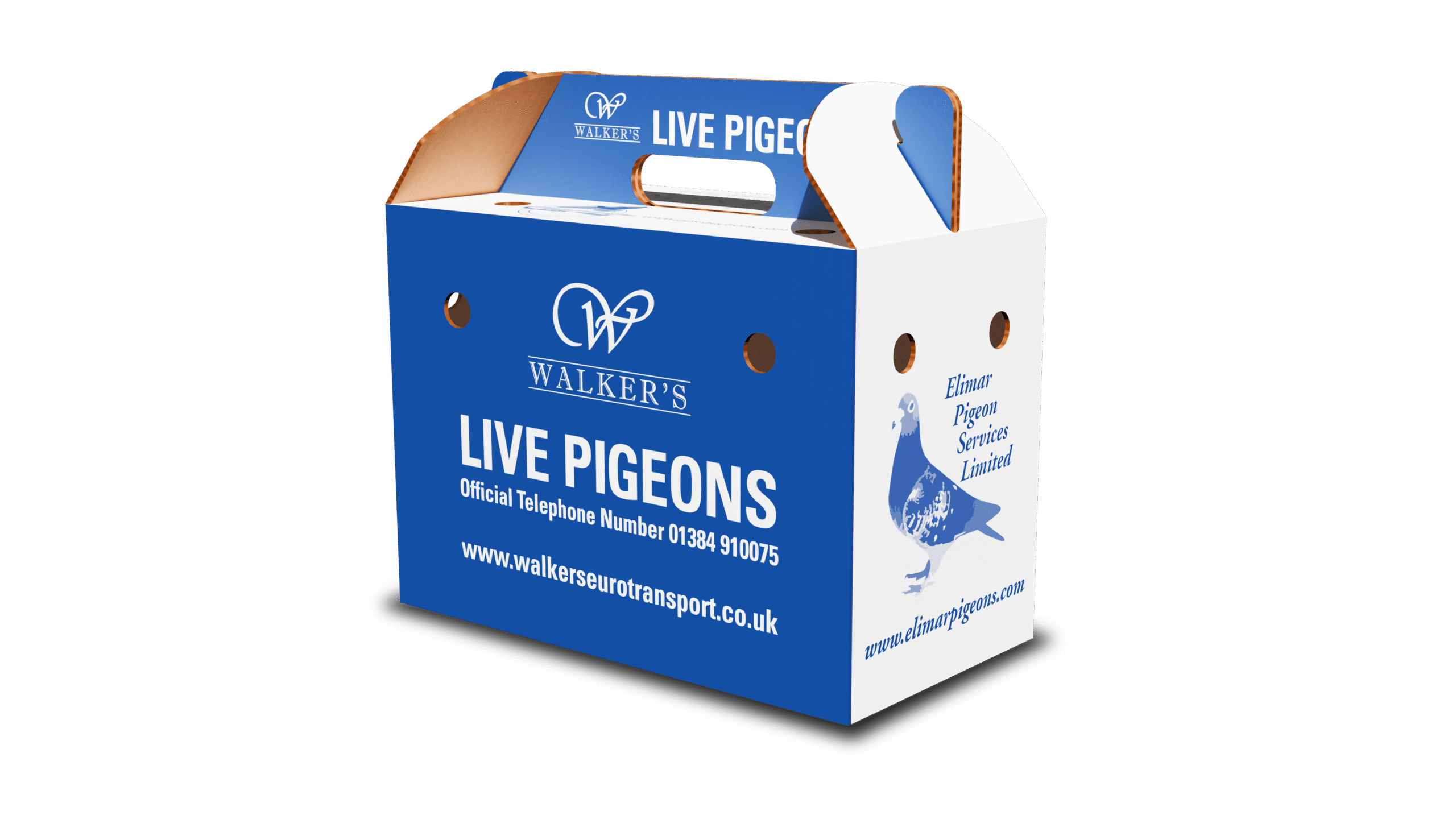 Pigeon_Box_Done